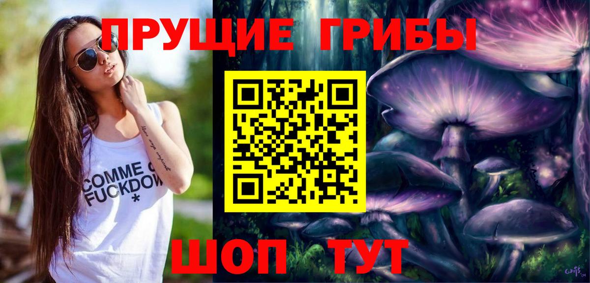 Галлюциногенные грибы Cubensis Псков
